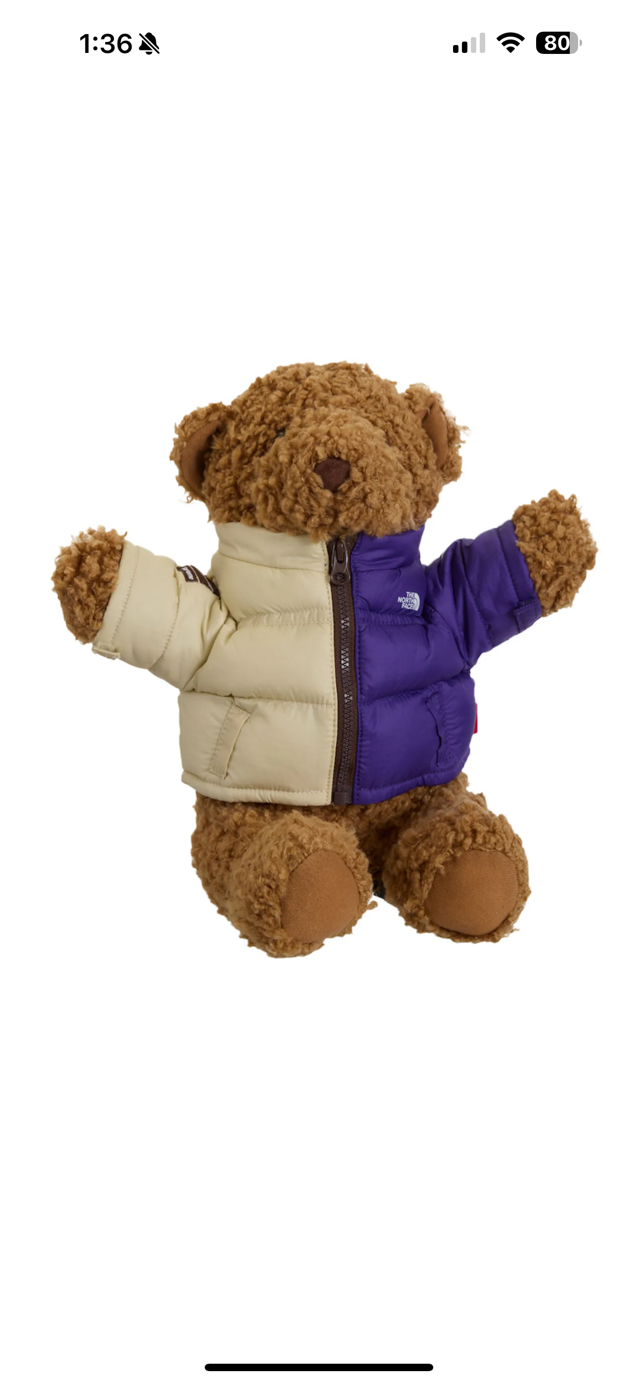 Supreme X The North Face “Bear”