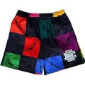 Mattyboy X Eric Emanuel Multicolor Shorts