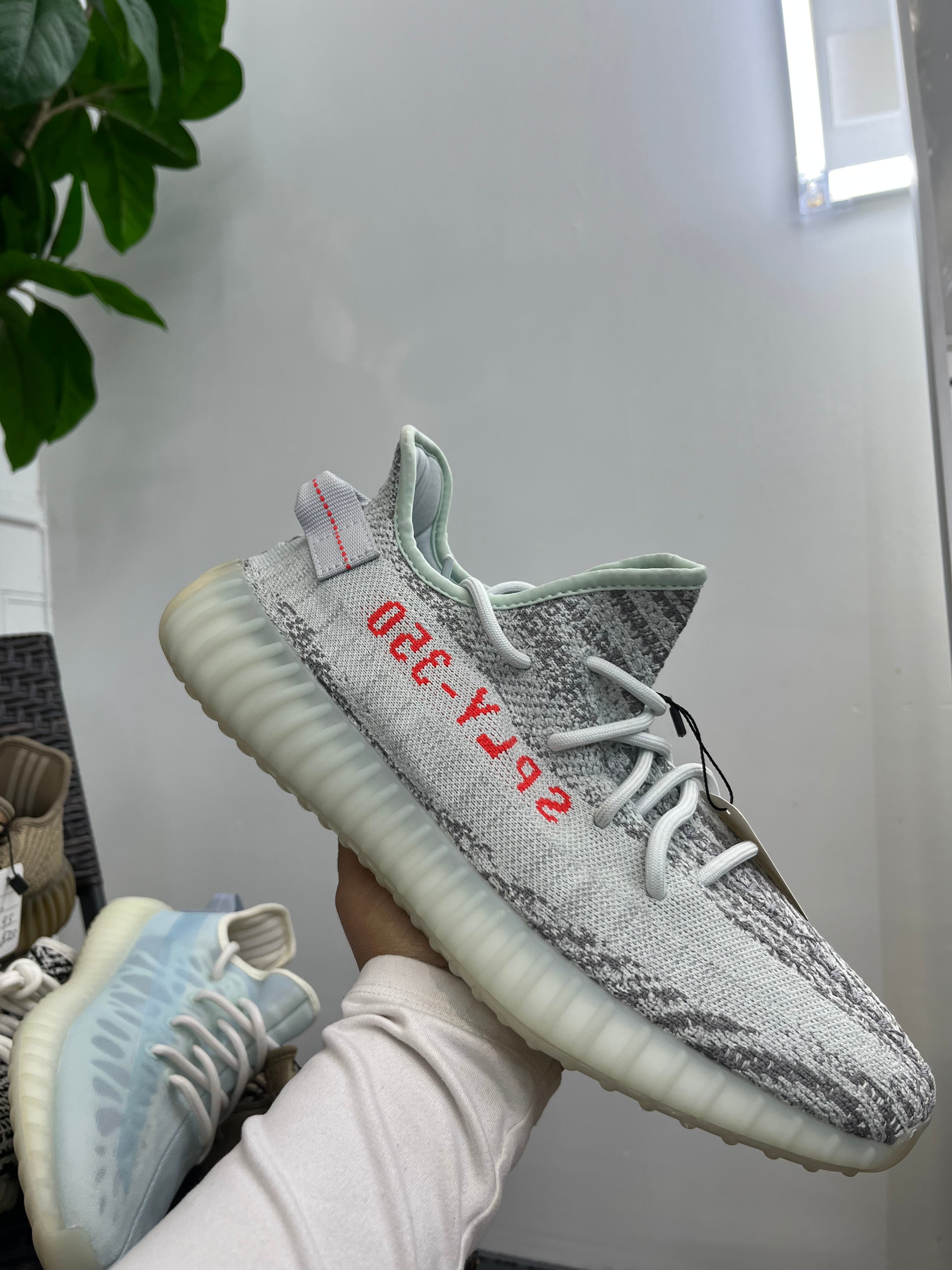 Adidas Yeezy 350 blue tint