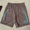 Warren Lotas “Barbed Wire” Shorts (Brown/Blue)